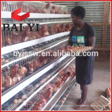 Ladder-Frame Layer Chicken Cage In Poultry Farm